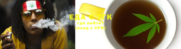 индика Нефтекумск