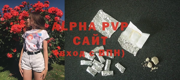индика Нефтекумск