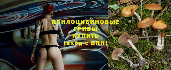 спиды Семёнов