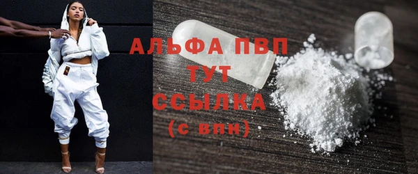 индика Нефтекумск