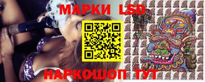 шишки Абакан