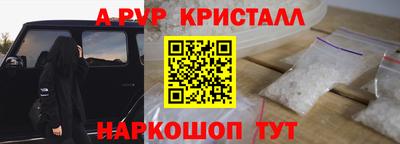 шишки Абакан