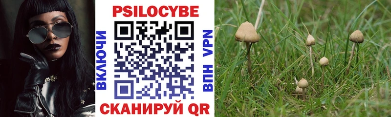 Псилоцибиновые грибы Psilocybe  купить закладку  Кирово-Чепецк 