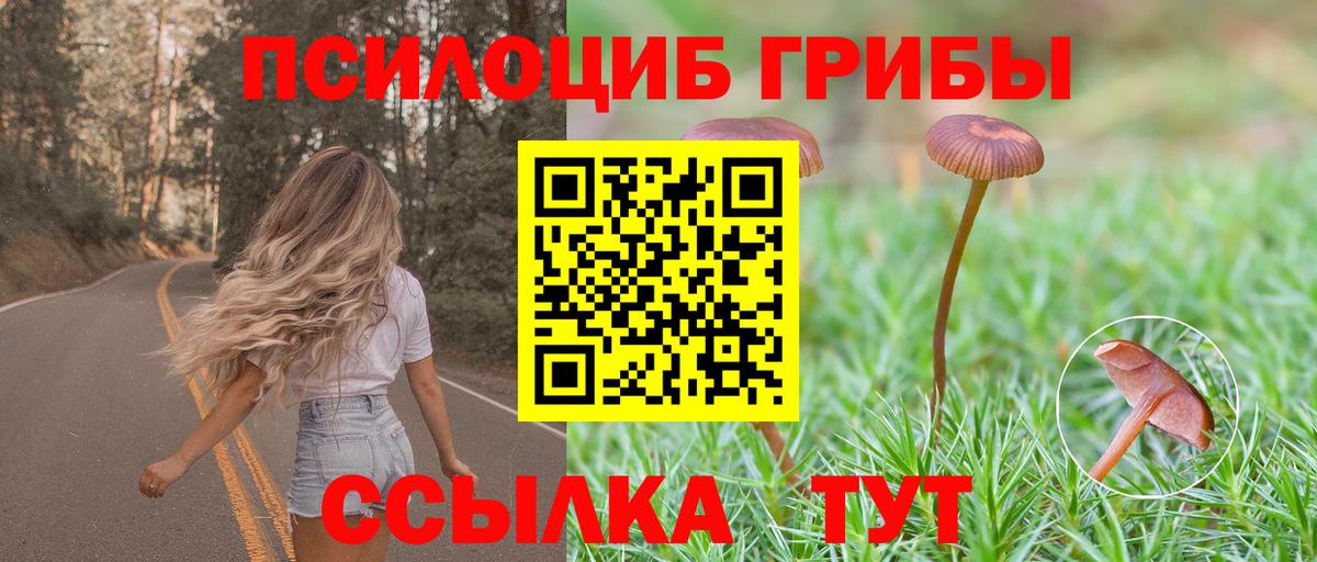 Кирово-Чепецк  купить закладку  Псилоцибиновые грибы прущие грибы  Вход с VPN  Галлюциногенные грибы мицелий 