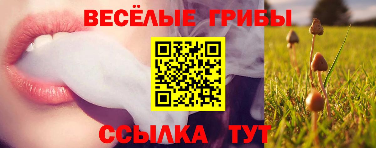 A-PVP СК кристаллы  Cocaine  Бошки Шишки  Меф МЯУ МЯУ кристаллы  Вход с VPN  Меф МЯУ МЯУ  Кирово-Чепецк  ГАШИШ 